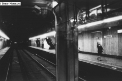 a0018105_12494213