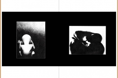 daido_1_4-scaled