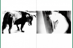 daido_2_4-scaled