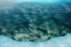 13_MG_1141