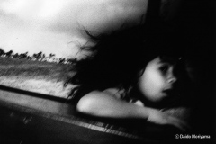 Hawaiisamp_06