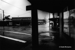 Hawaiisamp_10