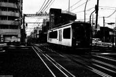 a0018105_1536439